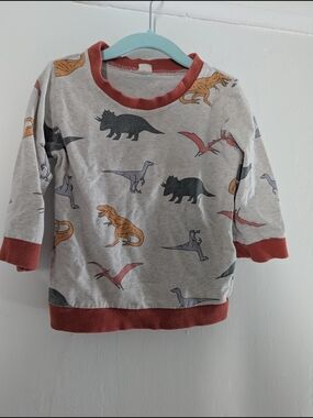 Toddler Grey Dinosaur Sweatshirt with Rust Trim